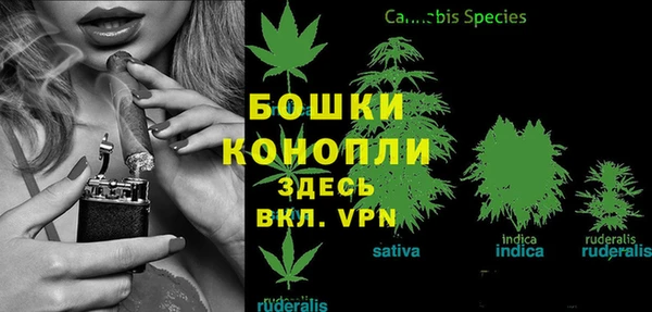 первитин Богданович