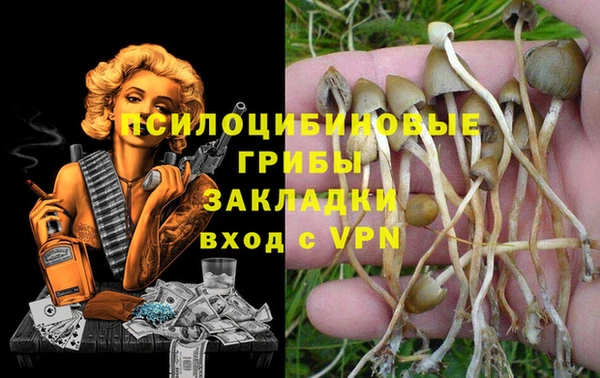 первитин Богданович